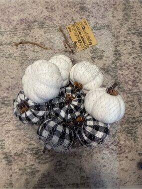 NWT Small White & Black Buffalo Check Decorative Halloween Pumpkins Fall Set 8